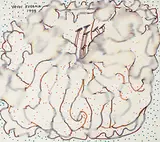 Yayoi Kusama, Bloom
