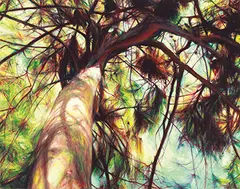 Huang Min-jun, Sunny, 2009, Oil on canvas