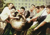 Xia Xing, Panda Bear, 2005, Oil on canvas