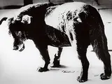 Daidō Moriyama, Misawa