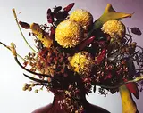 Untitled by Nobuyoshi Araki, Gelatin silver print, sold Nov 2014