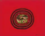 Yayoi Kusama, Fish