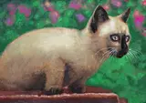 Hilo Chen, Cat, 1987, Gouache on paper