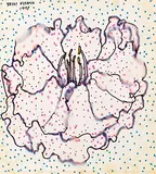 Yayoi Kusama, Flower