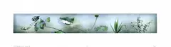 Hong Lei, I Dreamed of the Autumn Colors on the Shore at the Time of Emperor Huizong, 2000, Digital print on photographic paper, edition no. 9/10