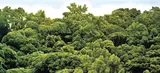 Yeh Tzu Chi, Yan-Ming Mountain in June