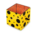 Yayoi Kusama, Mirror Box Type A