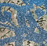 Xue Song, Calligraphy Imagery