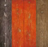 Wang Yabin, Elephant, 2005, Mixed media on canvas