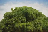 Yeh Tzu Chi, Top of the Tree