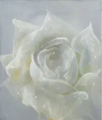 Luo Fahui, Rose 2002 No. 35 & Rose 2000 No. 5 2002 (White) 2000 (Black), 2002, Oil on canvas