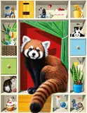 Kama Takumi, Red Pandas’s Cabinet, 2021, Acrylic on cotton cloth mounted onto panel