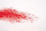 Chiharu Shiota, Red Line VI