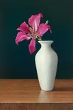 Yeh Tzu Chi, Orchid Tree, 2019-2020, Tempera and oil on linen