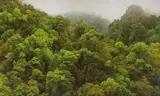 Yeh Tzu Chi, Mountain by Lao River, Hualien,  Rain Shower