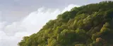 Yeh Tzu Chi, Shamao Mountain in May