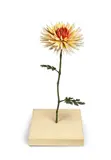 Yoshimasa Tsuchiya, Flower
