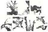 Zao Wou-ki, XXIV Sonnets de Shakespeare