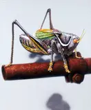 Cao Jingping, Grasshopper, 2005, Acrylic on canvas