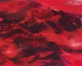 Sophie Chang, Untitled, 2017, Oil on canvas