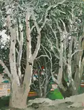 Wu Guanzhong, Lacebard Pine