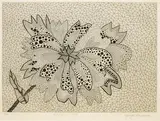 Yayoi Kusama, Flower (A．B), 1994, Etching, ed.70/75