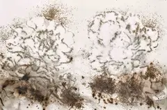 Cai Guo-Qiang, Yellow and White Peonies, 2014, Gunpowder on paper