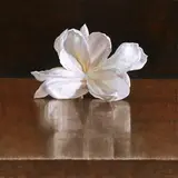 Yeh Tzu Chi, Jasmine in May
