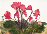 Shiy De-jinn, Cyclamen, 1977, Watercolor on paper