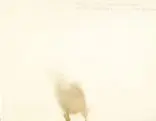 Cai Guo-Qiang, Project for Extraterrestrials No. 8 - Reviving the Ancient Signal Towers (9)