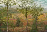 Huang Ming-chang, Golden Fields, 1995, Oil on canvas