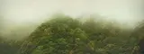 Yeh Tzu Chi, Mist, Bruwan, Hualien