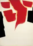 Chen Ting-Shih, Torch