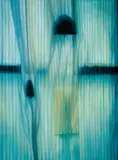 Lien Shu-hui, Curtain, 1993, Oil on canvas