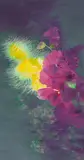 Yin Hong, Nocturnal Melody & Melting, 2006, Oil on canvas