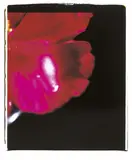 Caroline Yu Yin Chiu, Peony (triptych), 2006, Type-C print, numbered 1/10