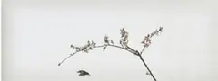 Hong Lei, I Dream of the First Spring after Meng Yuan Invading the South of China, 2004, Type-C print, numbered 1/10