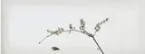 Hong Lei, I Dream of the First Spring after Meng Yuan Invading the South of China, 2004, Type-C print, numbered 1/10