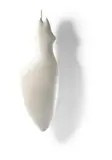 Michell Hwang, White