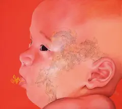 Alienated Baby by Haris Purnomo, 2008, Oil on canvas, offered May 2010