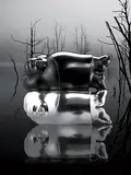 Li Chen, Clear Soul, 2002, Bronze, edition no. 7/8