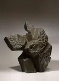 Ju Ming, Taichi