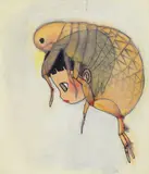 Aya Takano, Mijinko Hat