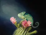 Chu Shu Chi, Hope, 2012, Oil on canvas