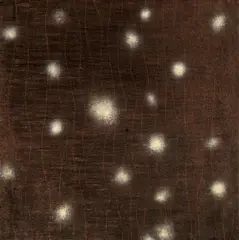 Paul Chiang, Eternal Contemplatation, 2004, Oil on canvas