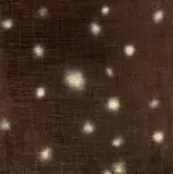 Paul Chiang, Eternal Contemplatation, 2004, Oil on canvas