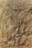 Chen Liu, The Segmented Series (A pair), 2005, Watercolor on paper