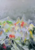 Yuxing Huang, Landscape