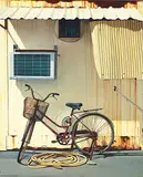 Chou Chu-Wang, The Side of My House – Camouflage, 2006, Oil on canvas