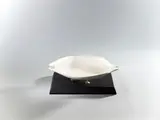 Michell Hwang, Plate